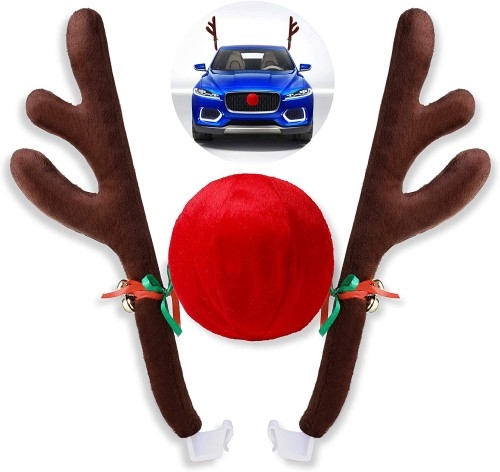 Image of Rogi renifera i nos dekoracja świąteczna na samochód