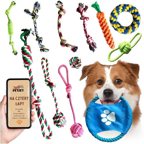 Image of Zestaw zabawek dla psa 12 elementów + gratis