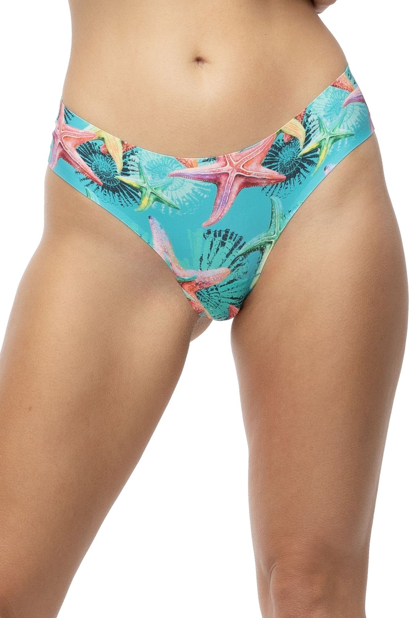 Figi Brasil Sea stars