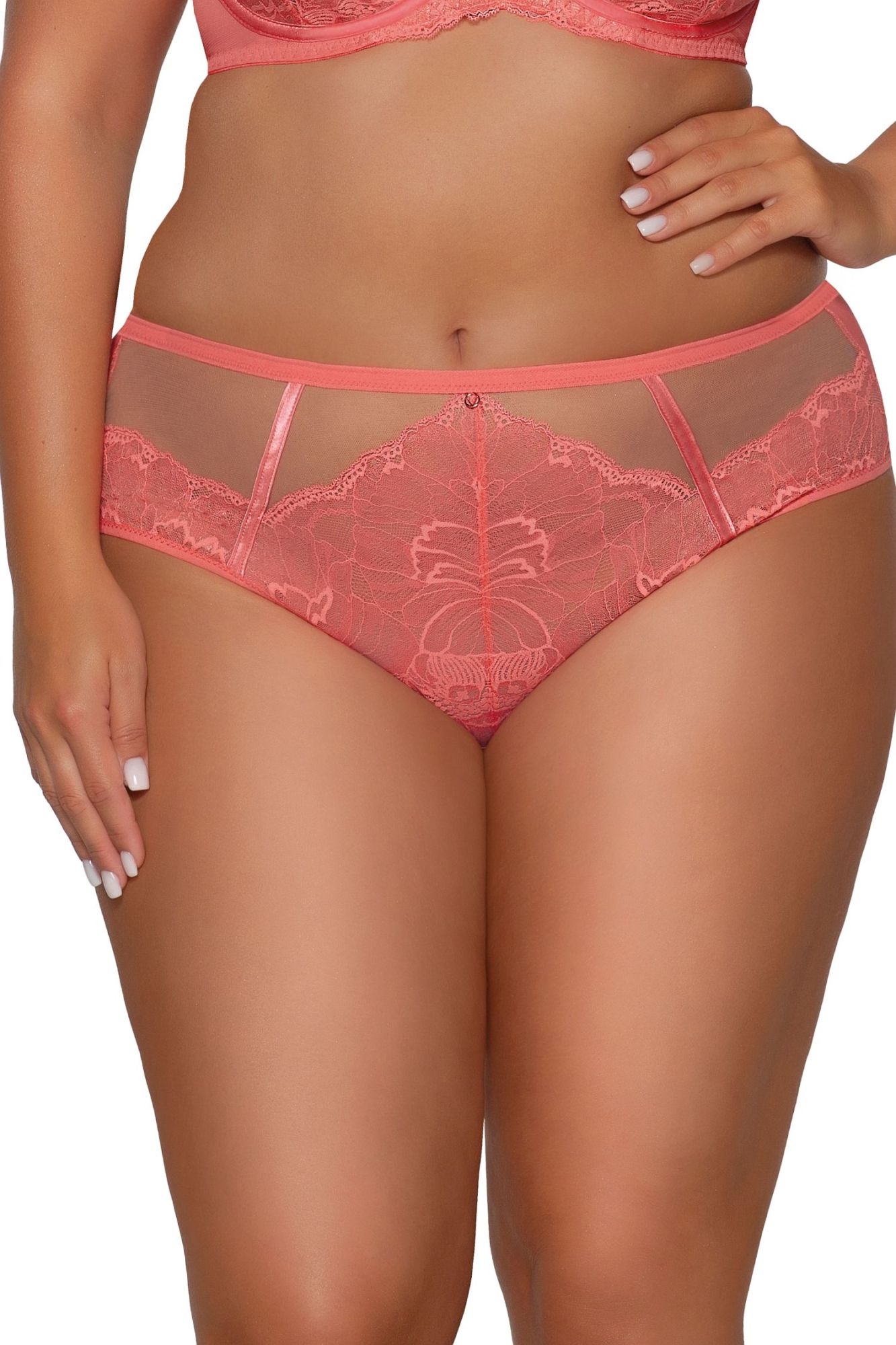 Figi Venus 1824 coral