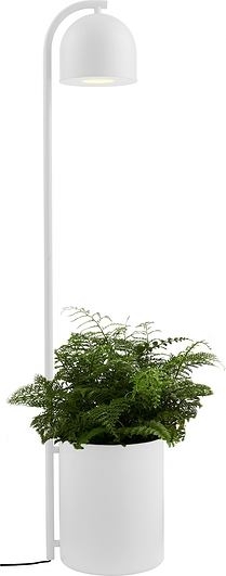Image of lampa podłogowa botanica xl biała