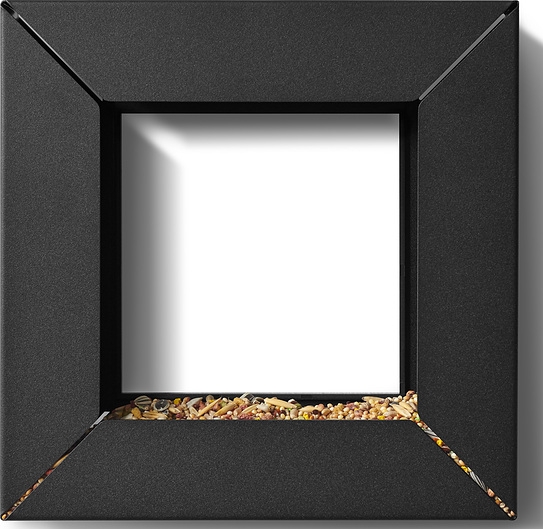 Image of karmnik dla ptaków frame