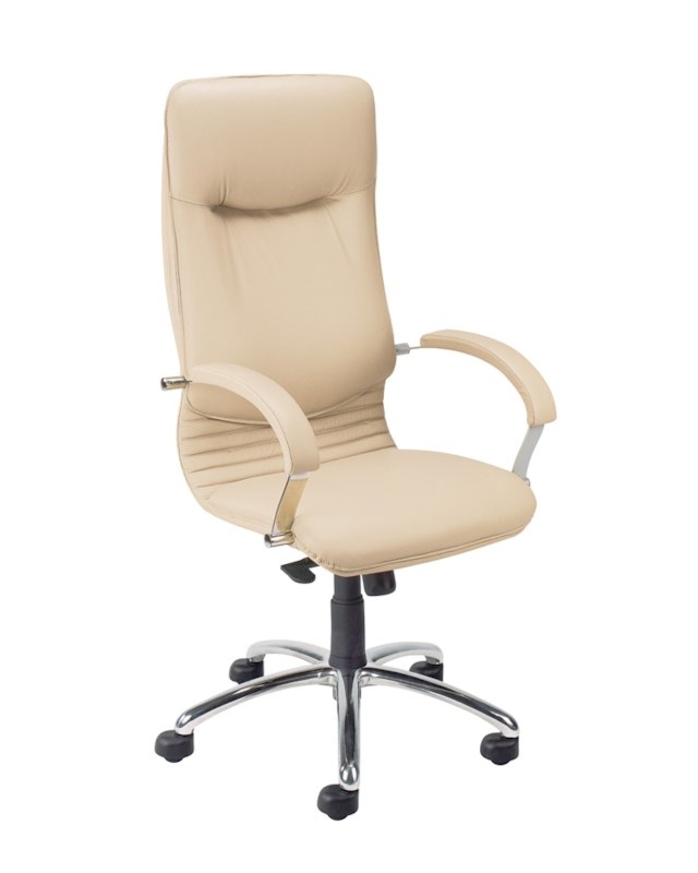 Fotel gabinetowy Nova Steel