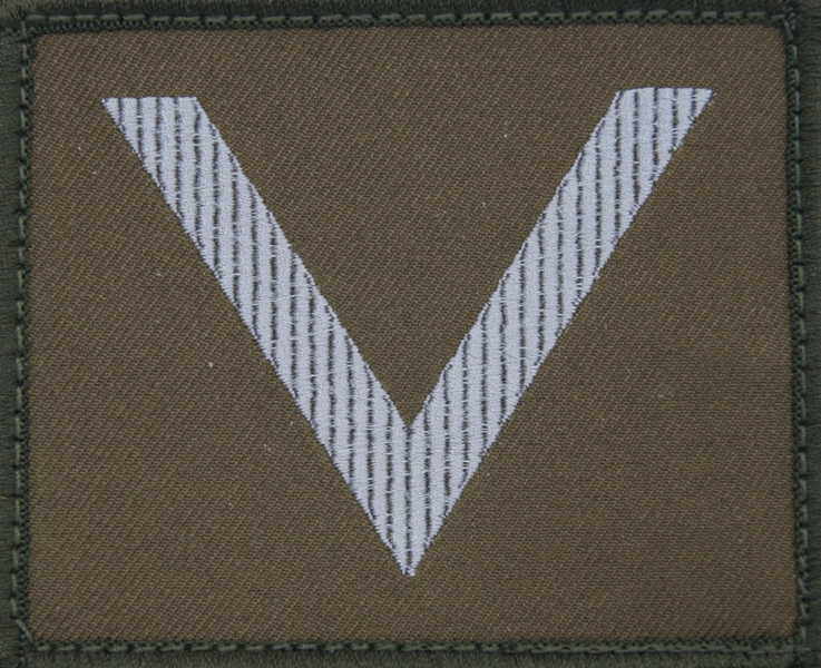 Dystynkcja na kurtkę wyjściową Wojsk Lądowych - sierżant