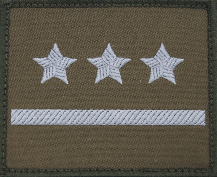 Dystynkcja na kurtkę wyjściową Wojsk Lądowych - porucznik