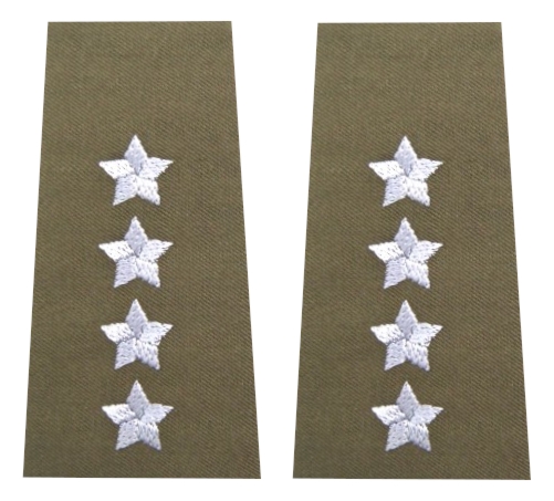 Pagony (pochewki) wyjściowe Wojsk Lądowych - kapitan