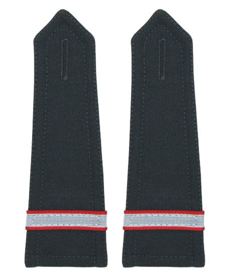 Pagony stalowe do koszulo-bluzy Wojska Polskiego - starszy szeregowy specjalista