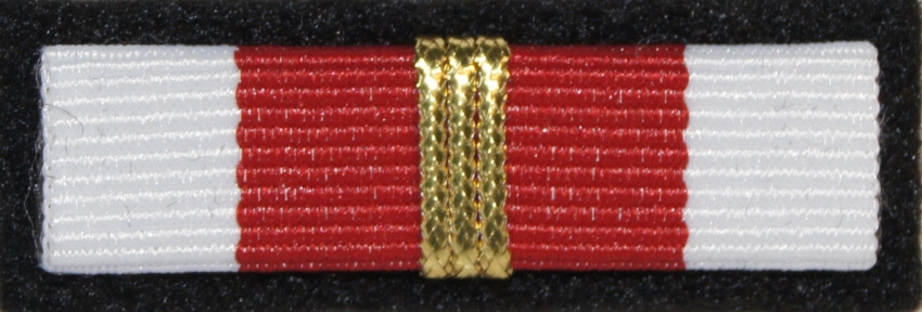 Baretka - Złoty Medal za Zasługi dla Obronności Kraju