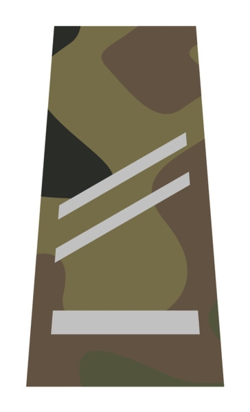 Pochewka KM - starszy brygadier