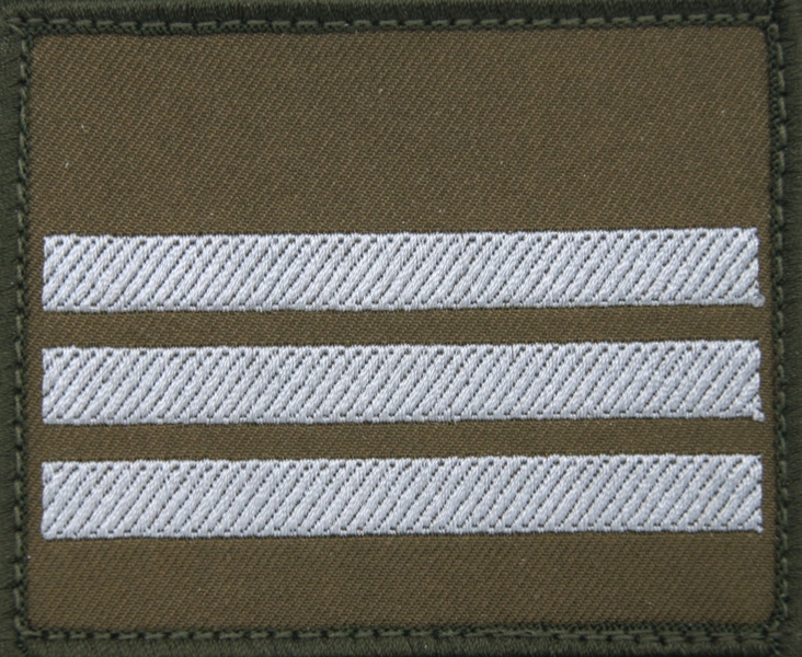 Dystynkcja na kurtkę wyjściową Wojsk Lądowych - starszy kapral