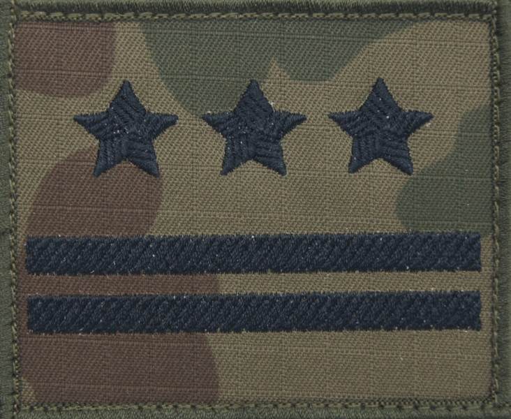 Dystynkcja na kurtkę polową Wojska Polskiego - pułkownik