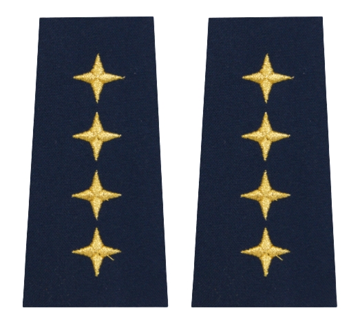 Pagony (pochewki) Straży Miejskiej - naczelnik