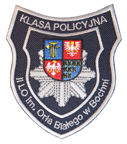 Emblemat szkolny BOCHNIA