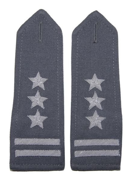 Pagony stalowe do koszulo-bluzy Wojska Polskiego - pułkownik