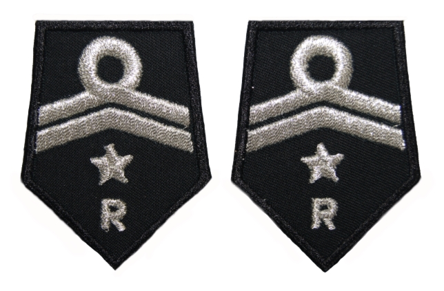 Patki OSP, oddział gminny - członek komisji rewizyjnej