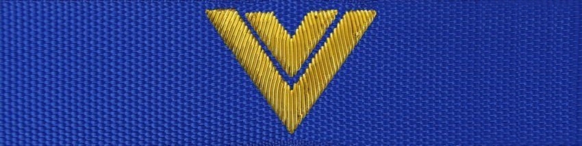 Otok do czapki garnizonowej PSP - starszy ogniomistrz (haft bajorkiem)