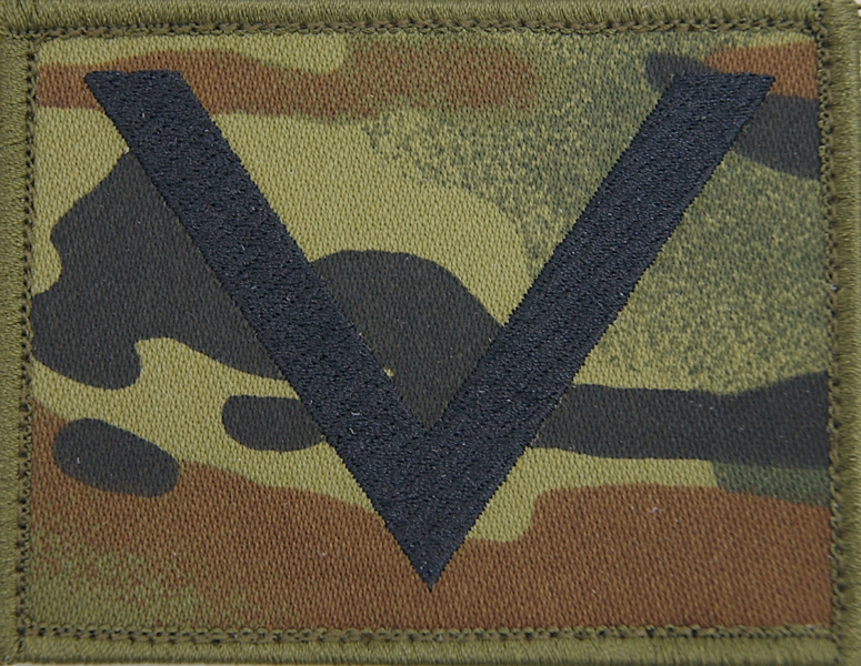 Dystynkcja na mundur polowy SG14 - sierżant