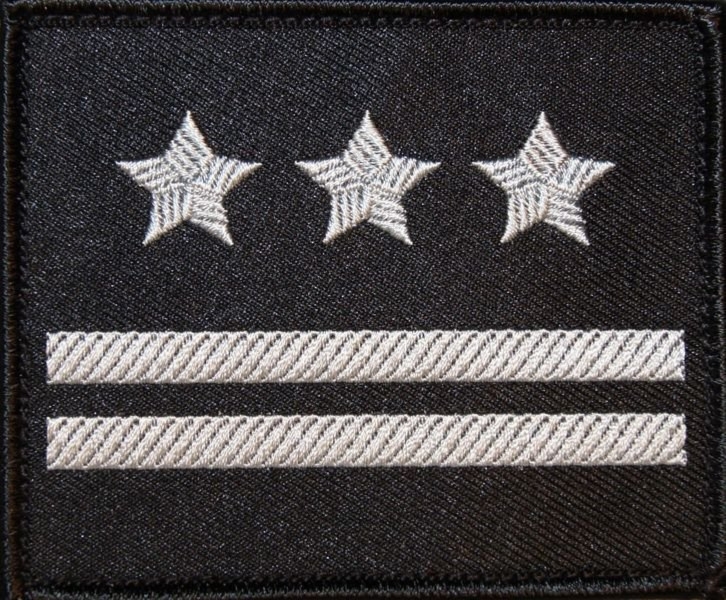 Dystynkcja na kurtkę wyjściową Sił Powietrznych - pułkownik