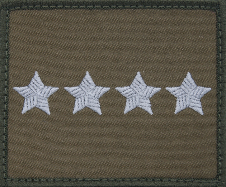 Dystynkcja na kurtkę wyjściową Wojsk Lądowych - starszy chorąży sztabowy