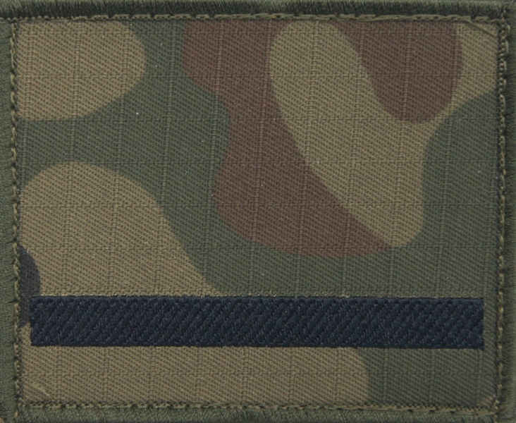 Dystynkcja na kurtkę polową Wojska Polskiego - starszy szeregowy