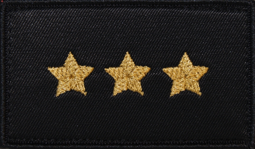 Dystynkcja do ubrania koszarowego - PSP - aspirant sztabowy