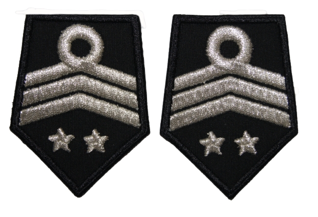 Patki OSP, oddział powiatowy - członek prezydium zarządu