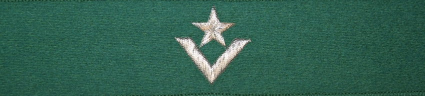 Otok do czapki garnizonowej Straży Granicznej - młodszy chorąży