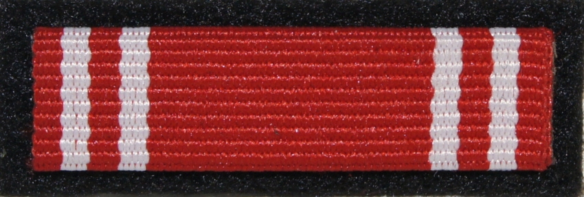 Brązowy Medal Siły Zbrojne w Służbie Ojczyzny - Baretka