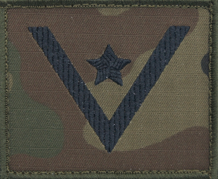 Dystynkcja na kurtkę polową Wojska Polskiego - młodszy chorąży