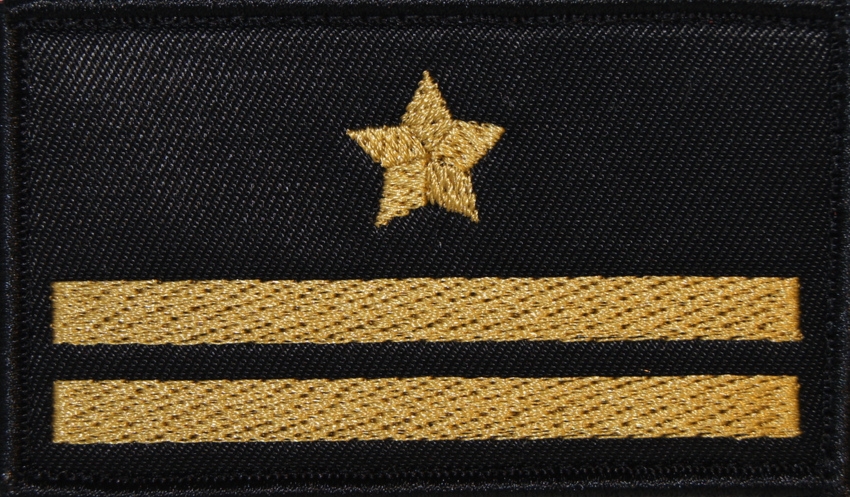 Dystynkcja do ubrania koszarowego - PSP - młodszy brygadier