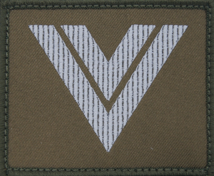 Dystynkcja na kurtkę wyjściową Wojsk Lądowych - starszy sierżant