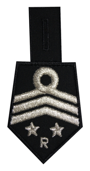 Patka do koszuli OSP, oddział powiatowy - wiceprzewodniczący komisji rewizyjnej