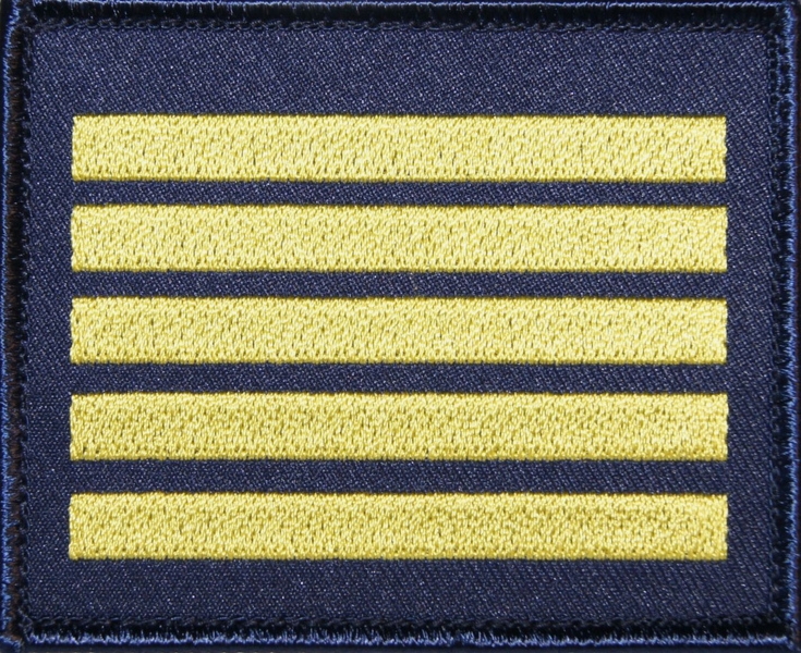 Plakietka na pierś - kadet V klasy wojskowej