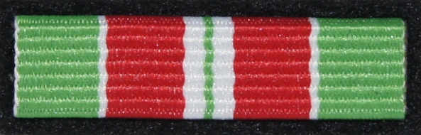 Baretka - Medal Pamiątkowy 10-lecia ZO NSZZ FSG przy NwOSG