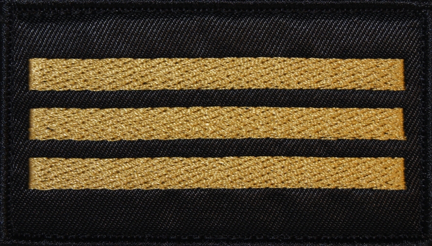 Dystynkcja do ubrania koszarowego - PSP - starszy sekcyjny