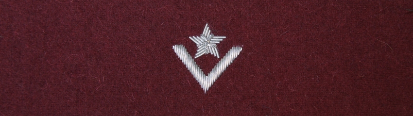 Otok wiśniowy do rogatywki Wojska Polskiego - młodszy chorąży