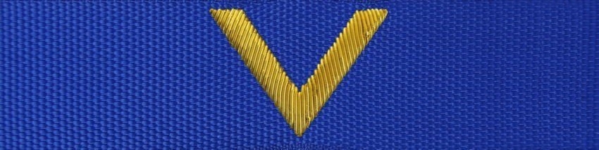 Otok do czapki garnizonowej PSP - ogniomistrz (haft bajorkiem)