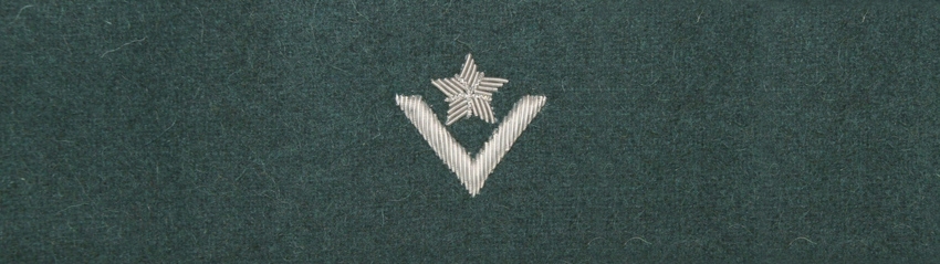 Otok zielony do rogatywki Wojska Polskiego - młodszy chorąży