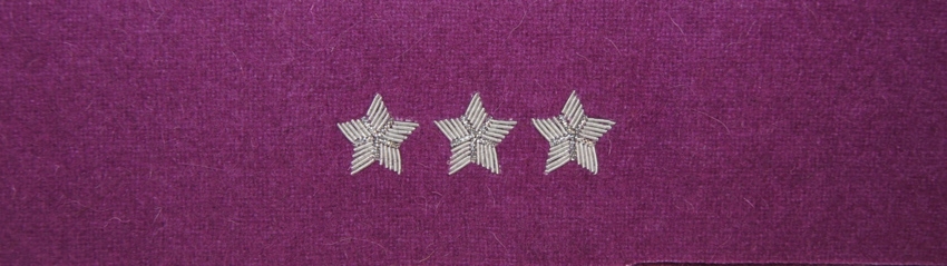 Otok fioletowy do rogatywki Wojska Polskiego - porucznik, pułkownik