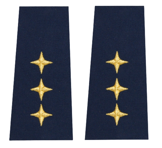 Pagony (pochewki) Straży Miejskiej - zastępca naczelnika