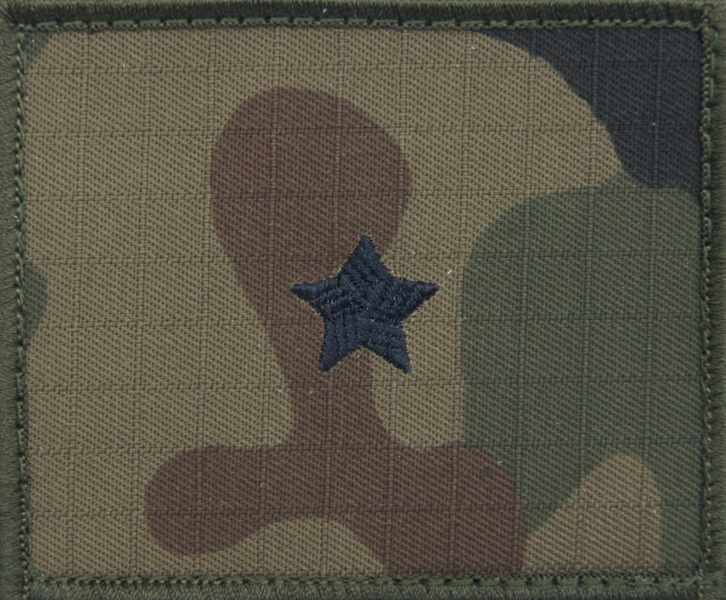 Dystynkcja na kurtkę polową Wojska Polskiego - chorąży