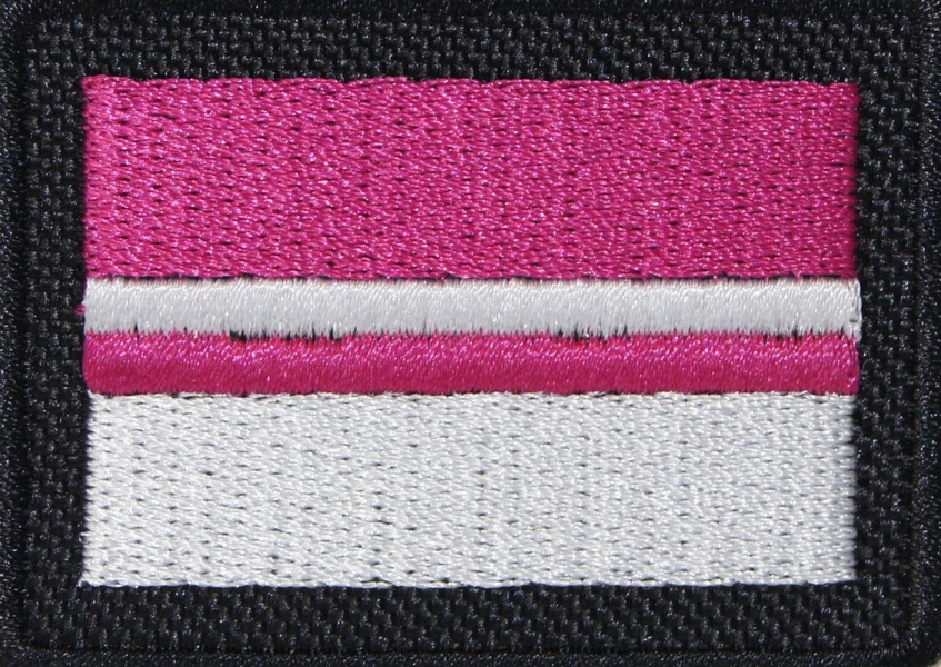 Flaga naramienna - 9 Pułk Ułanów - z rzepem