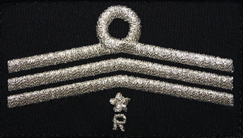 Dystynkcja do ubrania koszarowego OSP, Oddział Powiatowy - członek komisji rewizyjnej