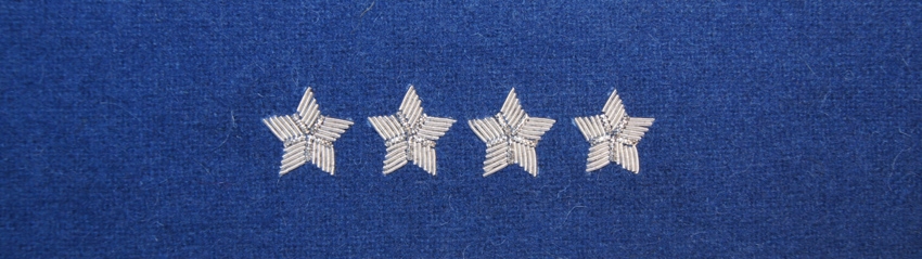 Otok chabrowy do rogatywki Wojska Polskiego - starszy chorąży sztabowy, kapitan