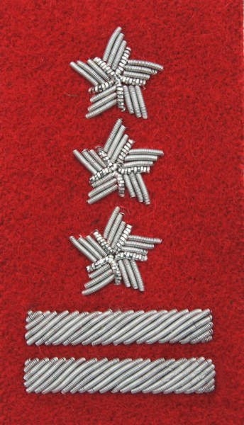 Stopień Wojska Polskiego haftowany bajorkiem do beretu szkarłatnego - pułkownik