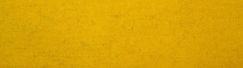 Otok żółty do rogatywki Wojska Polskiego - szeregowy