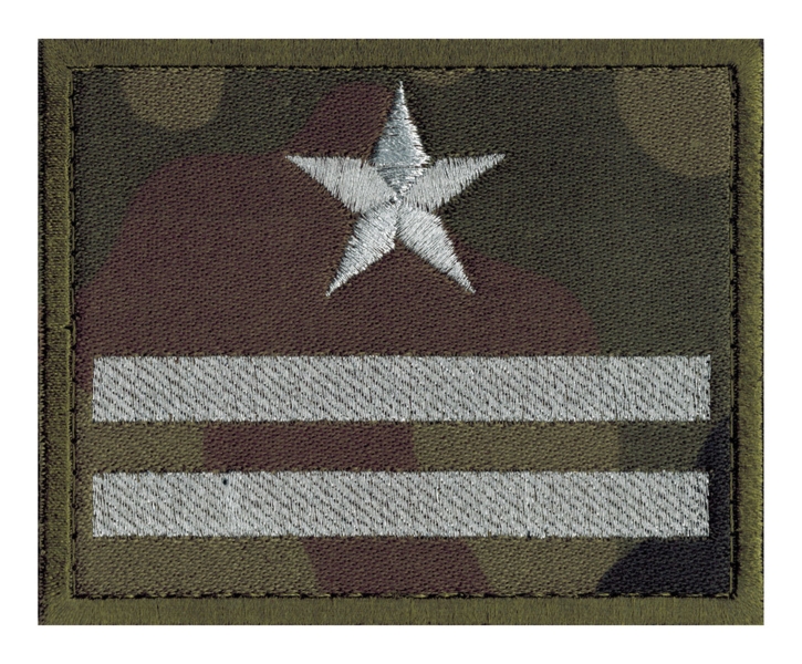 Stopień na kurtkę - brygadier dyplomowany