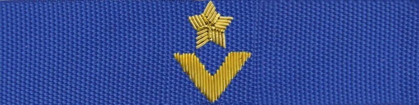 Otok do czapki garnizonowej PSP - młodszy aspirant (haft bajorkiem)