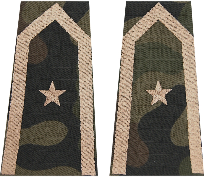 Pochewki polowe - chorąży kawalerii ochotniczej