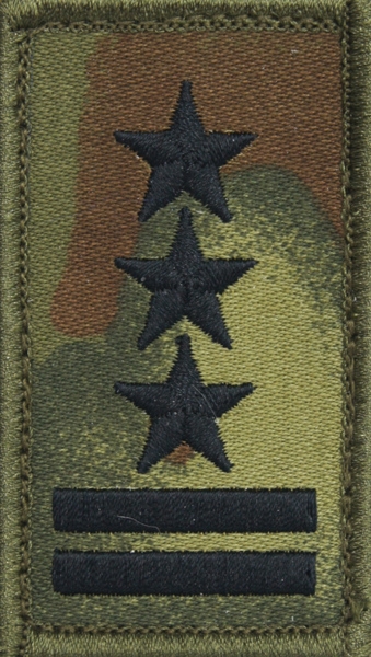 Stopień na koszulkę typu t-shirt Straży Granicznej - pułkownik